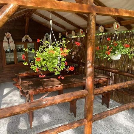 Cabana Victor Sighetu Marmaţiei Extérieur photo