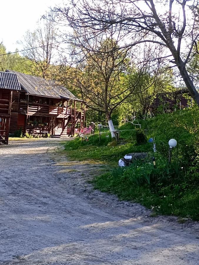 Cabana Victor Sighetu Marmaţiei Extérieur photo