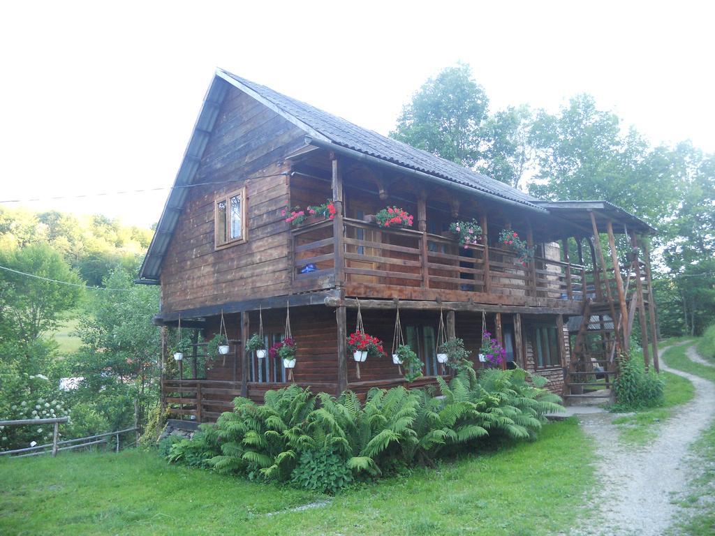 Cabana Victor Sighetu Marmaţiei Extérieur photo