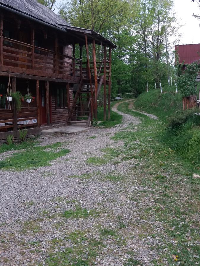 Cabana Victor Sighetu Marmaţiei Extérieur photo