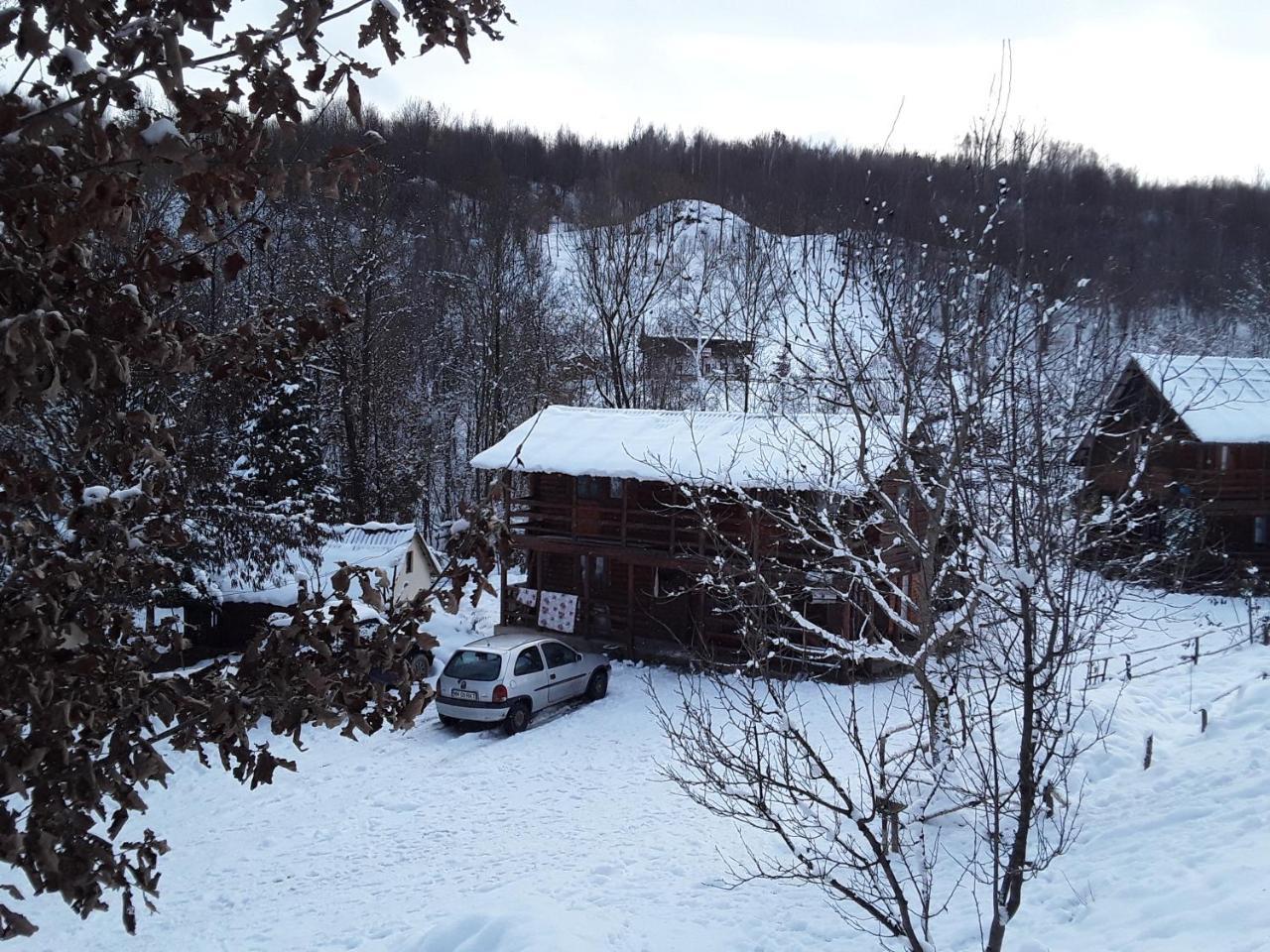 Cabana Victor Sighetu Marmaţiei Extérieur photo