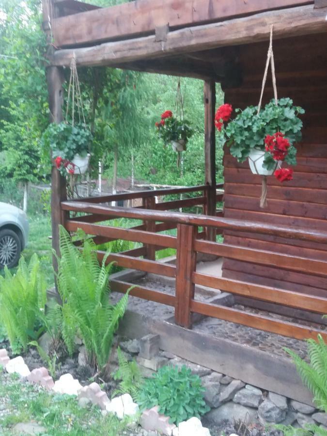 Cabana Victor Sighetu Marmaţiei Extérieur photo