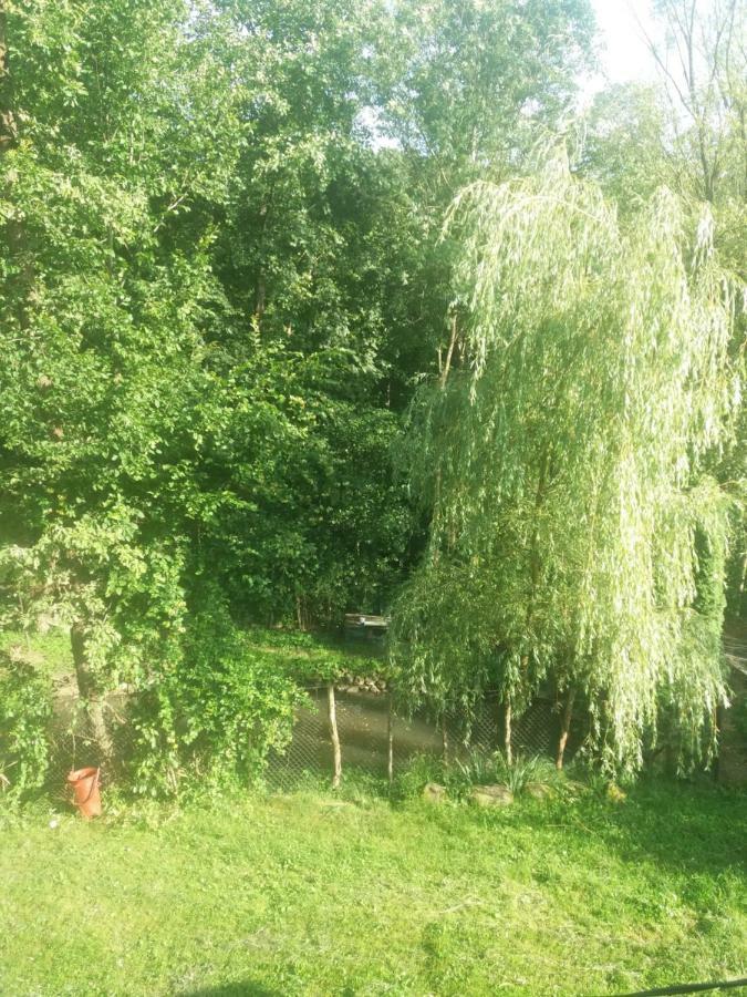 Cabana Victor Sighetu Marmaţiei Extérieur photo