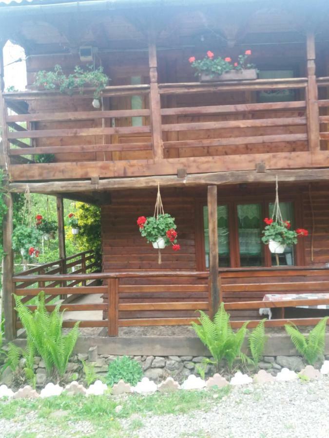 Cabana Victor Sighetu Marmaţiei Extérieur photo