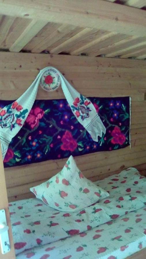 Cabana Victor Sighetu Marmaţiei Extérieur photo