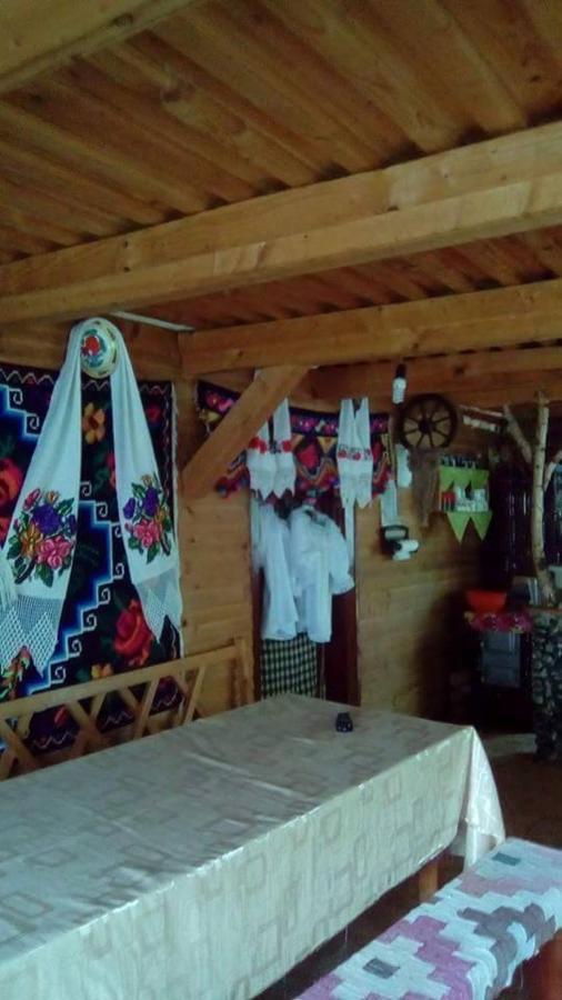 Cabana Victor Sighetu Marmaţiei Extérieur photo